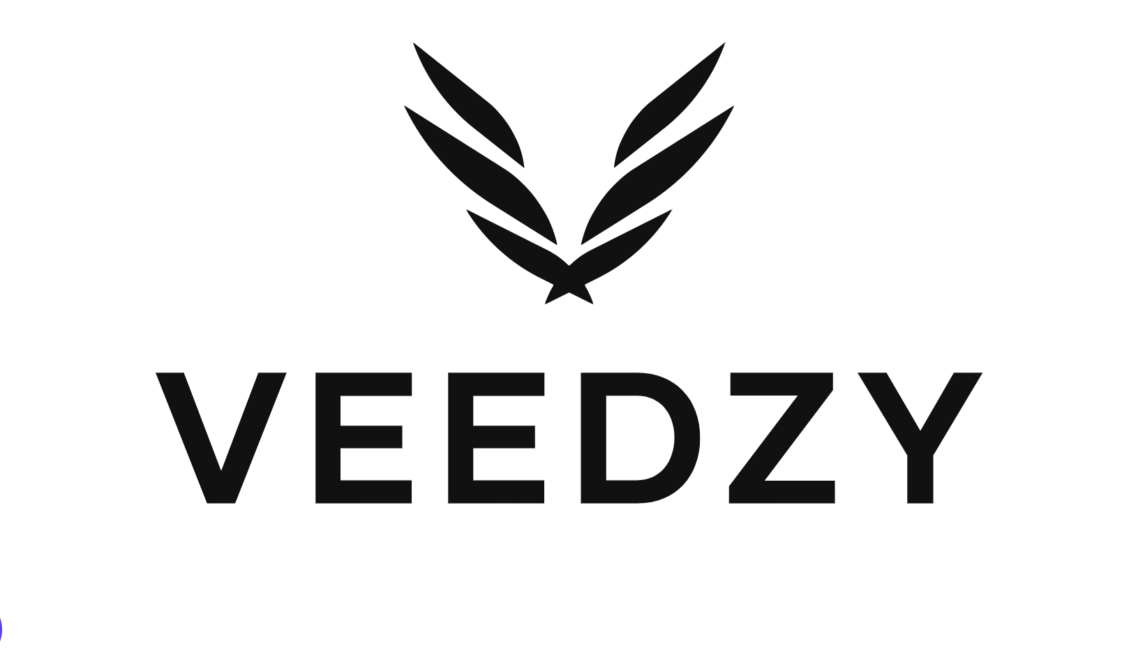 veedzy store